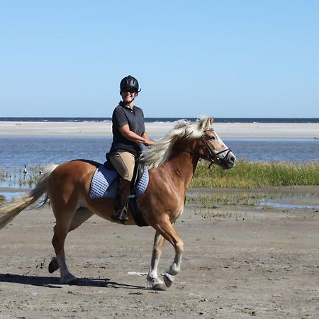 Naar Zee Op Ameland Buren  Extérieur photo